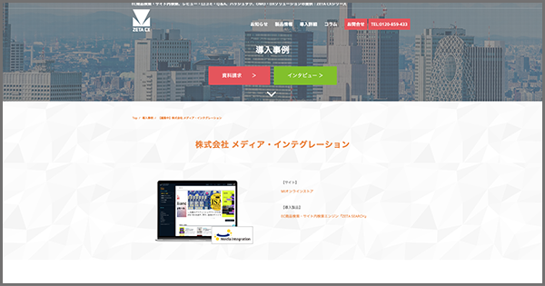 mi-online-store-zs-case-page